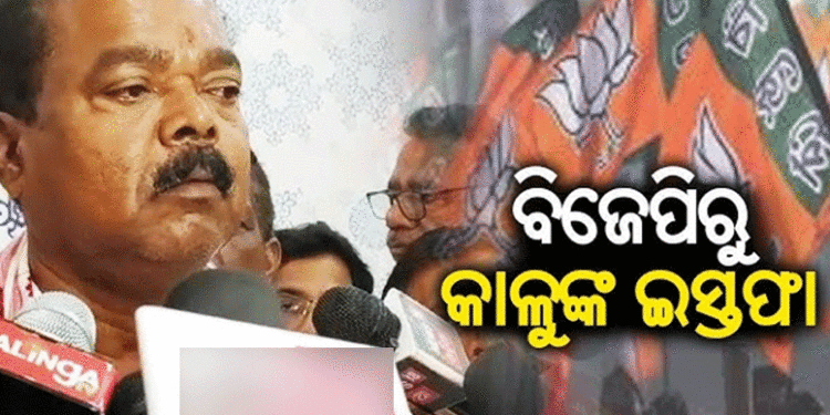 ବିଜେପିରୁ ଇସ୍ତଫା ଦେଲେ କାଳୁ ଖଣ୍ଡାୟତ ରାୟ