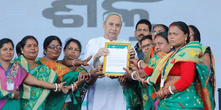 A Government; for the Women