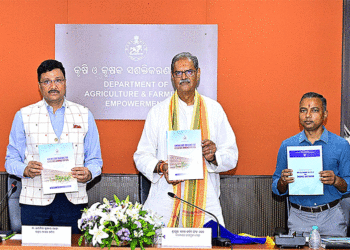 କୃଷି ଯୋଜନାର ସମୀକ୍ଷା କଲେ ଉପମୁଖ୍ୟମନ୍ତ୍ରୀ ଶ୍ରୀ ସିଂହ ଦେଓ: ପିଏମ କିଷାନ ଯୋଜନାର କାର୍ଯ୍ୟକାରିତା ଉପରେ ଆଲୋଚନା