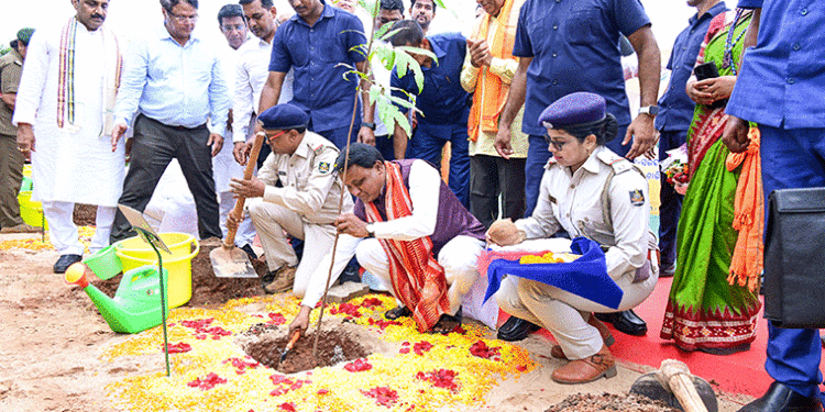 ଏ ବର୍ଷ ରାଜ୍ୟରେ ଲାଗିବ ୫ କୋଟି ଗଛ: ମୁଖ୍ୟମନ୍ତ୍ରୀ