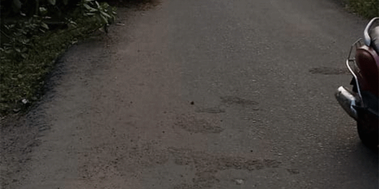 ଗୁରୁତ୍ୱପୂର୍ଣ୍ଣ ବାଇପାସ୍ ରାସ୍ତାକୁ ଅଣଦେଖା