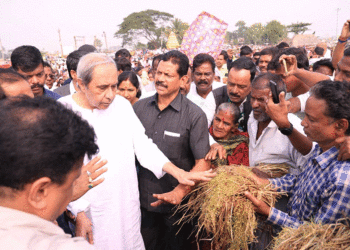 ନଷ୍ଟ ଧାନ ବିଡ଼ା ଦେଖାଇ ନବୀନଙ୍କ ଦୁଃଖ ଜଣାଇଲେ ଚାଷୀ