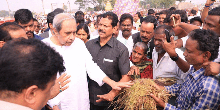 ନଷ୍ଟ ଧାନ ବିଡ଼ା ଦେଖାଇ ନବୀନଙ୍କ ଦୁଃଖ ଜଣାଇଲେ ଚାଷୀ