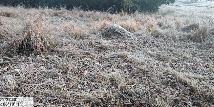 ୨୪ ଘଣ୍ଟା ପର୍ଯ୍ୟନ୍ତ ଶୀତ ଲହରୀ ସହ ଘନ କୁହୁଡି, ୪ ଜିଲ୍ଲାକୁ କୋଲ୍ଡୱେଭ୍ ଆଲର୍ଟ