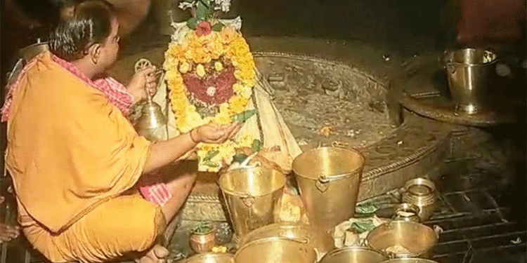 ବଡସିଂହାର ବେଶରେ ଦର୍ଶନ ଦେଲେ ମଣିବାବା