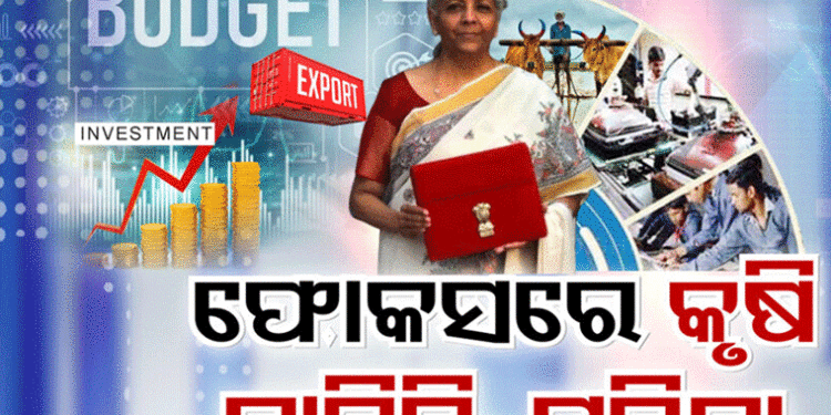 କେନ୍ଦ୍ର ବଜେଟ ଫୋକସରେ ଚାଷୀ, ଗରିବ, ଯୁବଗୋଷ୍ଠୀ ଓ ମହିଳା