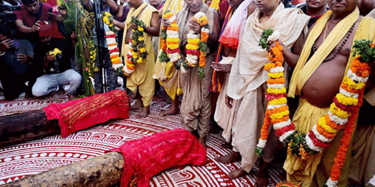 ଆରମ୍ଭ ହେଲା ମହାପ୍ରଭୁଙ୍କ ରଥ ନିର୍ମାଣ ଅନୁକୂଳ