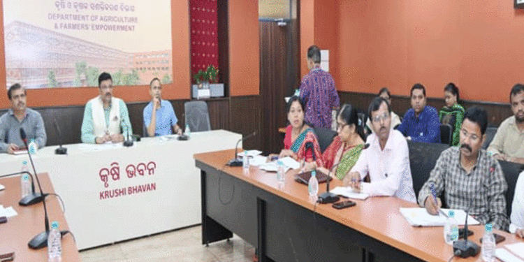 ଅନ୍ତର୍ଜାତୀୟ ଶ୍ରୀଅନ୍ନ ସମ୍ମିଳନୀର ପ୍ରସ୍ତୁତି ବୈଠକ ଅନୁଷ୍ଠିତ