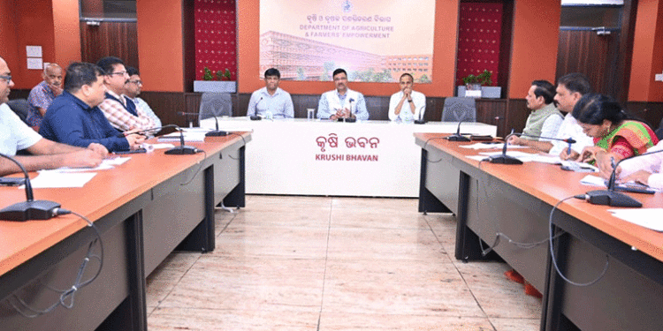 ମାଣ୍ଡିଆ କ୍ରୟର ସମୀକ୍ଷା କଲେ କୃଷି ସଚିବ