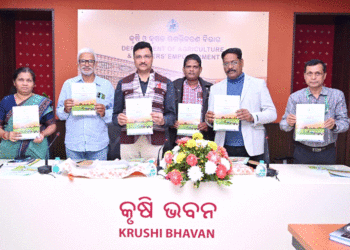 ସୁଯୋଗ ସୃଷ୍ଟି କରୁଛି ଜୈବିକ କୃଷି