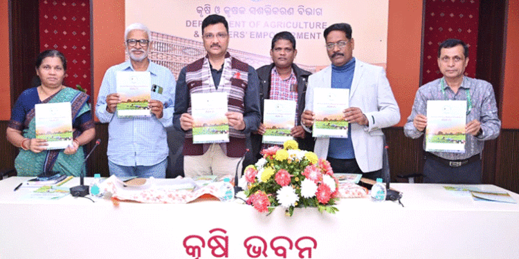 ସୁଯୋଗ ସୃଷ୍ଟି କରୁଛି ଜୈବିକ କୃଷି