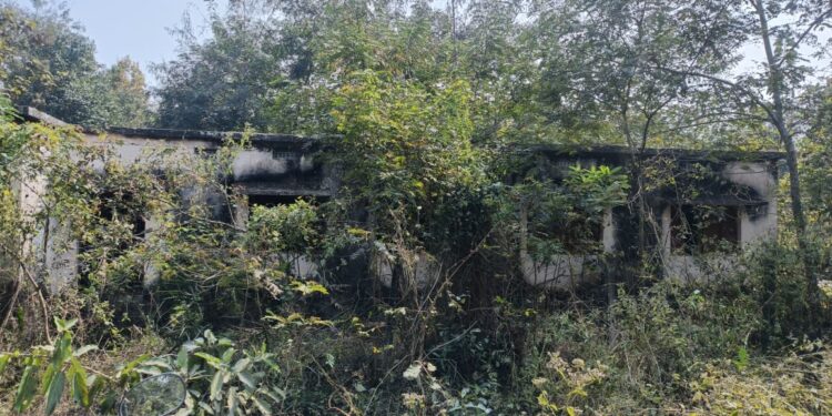 ବିଦ୍ୟାଳୟ କୋଠା ପାଲଟିଛି ଭୁତ କୋଠି: ଜିଲ୍ଲା ଶିକ୍ଷାଧିକାରୀଙ୍କ ତଦନ୍ତ ଆରମ୍ଭ