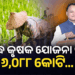 ସମୃଦ୍ଧ କୃଷକ ଯୋଜନା ପାଇଁ ୬,୦୮୮ କୋଟି