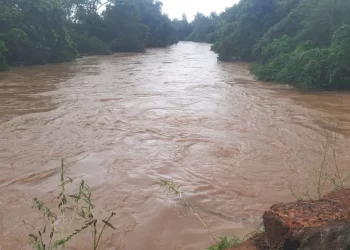 ସାପୁଆ ନଦୀରେ ବନ୍ୟା: ୧୨ ପଞ୍ଚାୟତ ଜଳମଗ୍ନ, ୪୦ ହଜାରରୁ ଊର୍ଦ୍ଧ୍ୱ ଲୋକ ବିପନ୍ନ