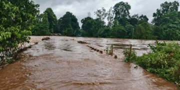 କେନ୍ଦୁଝରରେ ବର୍ଷାର ତାଣ୍ଡବ ; ସମାକୋଇ ନଦୀରେ ବନ୍ୟା ସ୍ଥିତି