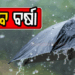 ସୃଷ୍ଟି ହେଲା ଲଘୁଚାପ: ୨ ଦିନରେ ଅଧିକ ଘନୀଭୂତ ହେବା ସମ୍ଭାବନା, ୪ ଜିଲ୍ଲାକୁ ଅରେଞ୍ଜ ଆଲର୍ଟ