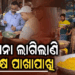 ପାର୍ବଣ ପୂର୍ବରୁ ଖାଦ୍ୟ ସୁରକ୍ଷା ବିଭାଗ ସଜାଗ