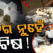 ରାଜଧାନୀରେ ନକଲି ଛେନା ଉପରେ ଚଢ଼ାଉ , କୁଇଣ୍ଟାଲରୁ ଅଧିକ ଜବତ