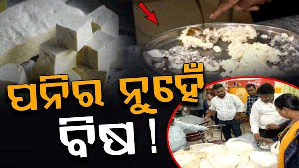 ରାଜଧାନୀରେ ନକଲି ଛେନା ଉପରେ ଚଢ଼ାଉ , କୁଇଣ୍ଟାଲରୁ ଅଧିକ ଜବତ